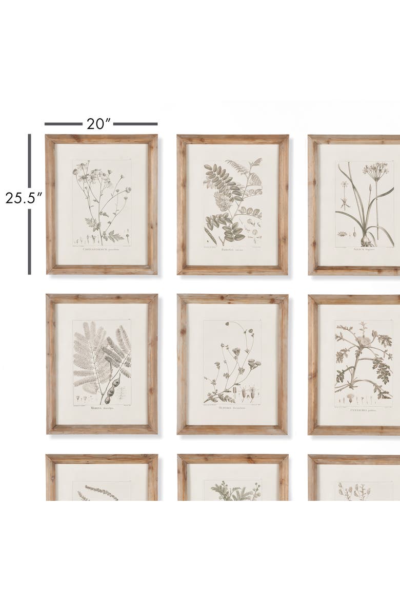 Botanical Illustrations Set of 9, Alternate, color, Gray