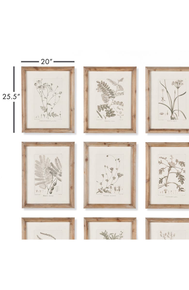 Napa Home & Garden Botanical Illustrations Set of 9, Alternate, color, Grey