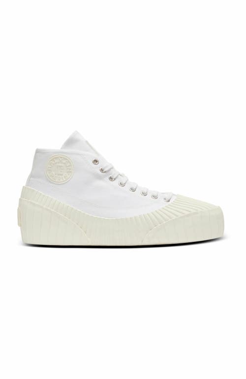 Balmain Riff Low Canvas Sneakers In White