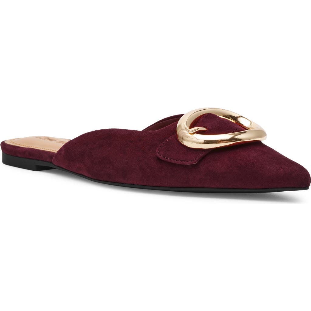 Steve Madden Ira Pointed Toe Mule In Burgundy
