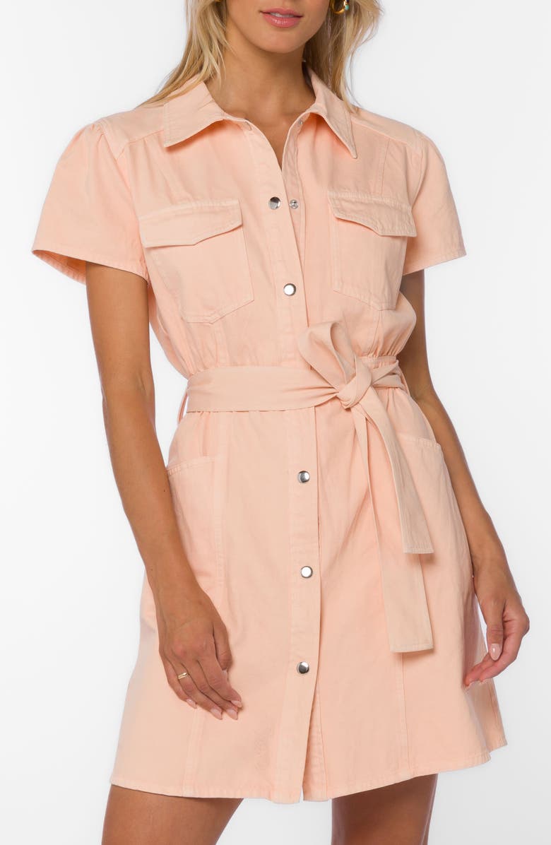VELVET HEART Fonda Belted Utility Shirtdress, Main, color, Apricot