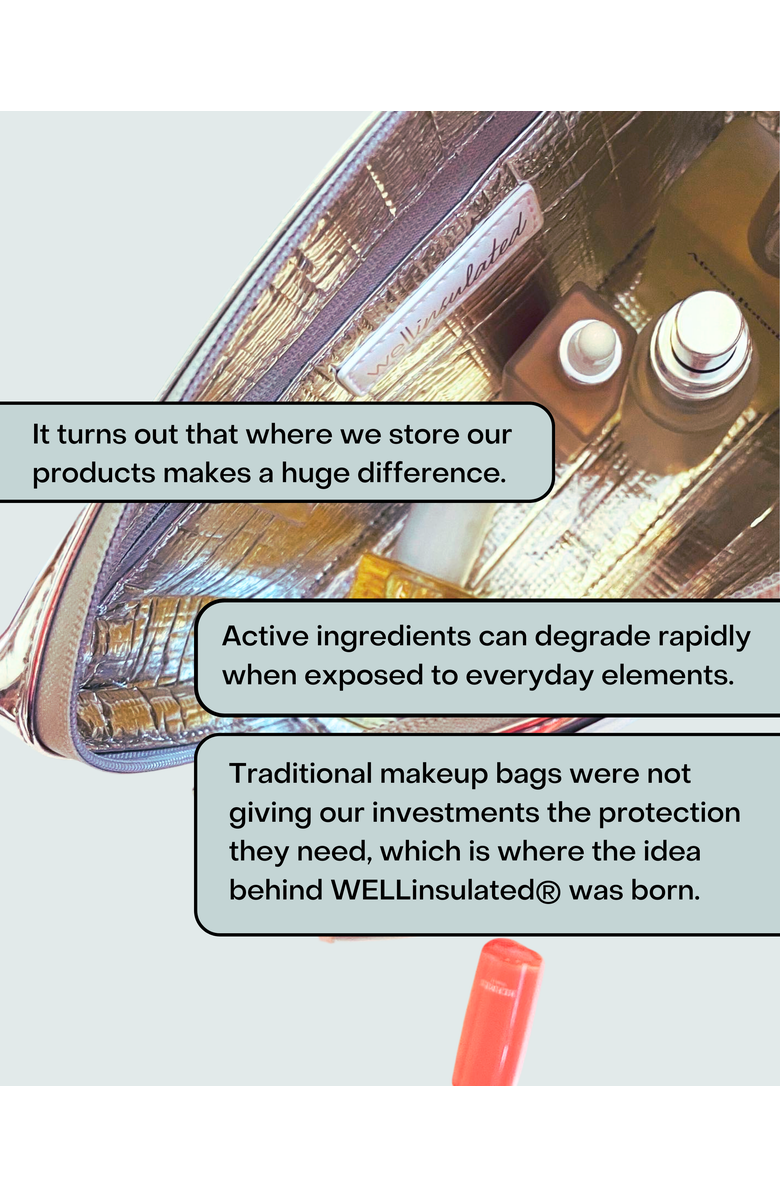 WELLinsulated Performance Beauty Bag Large, Alternate, color, Silver