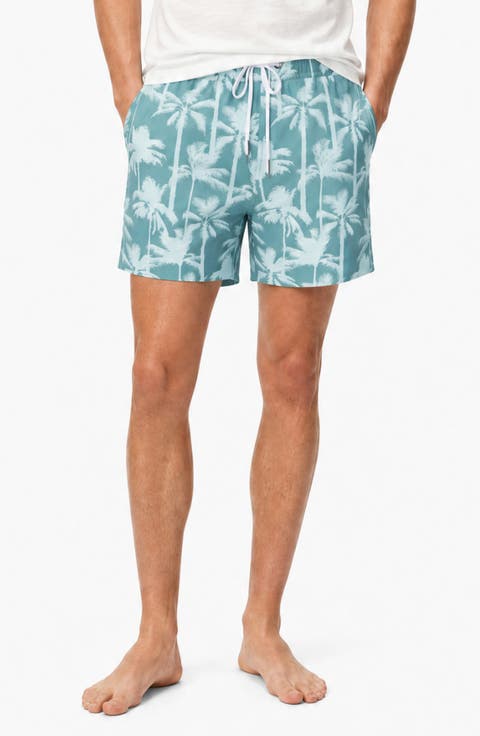 Stretch Volley Swim Trunks
