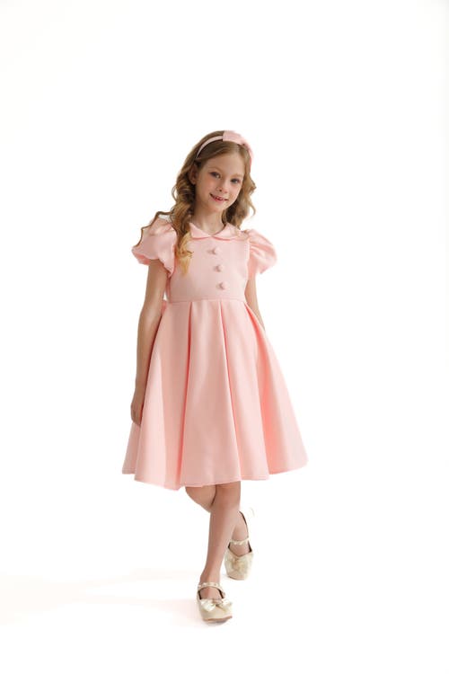 Tulleen Barrymore Dress In Blush