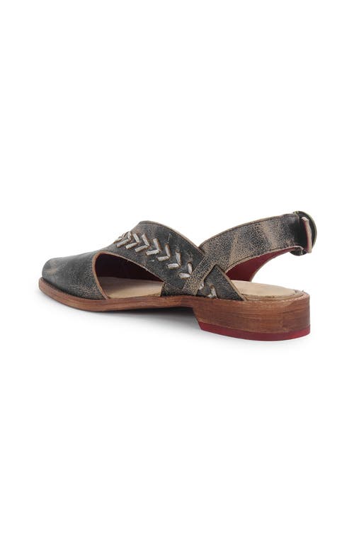 Bed Stu Join Pointed-toe Flat In Black