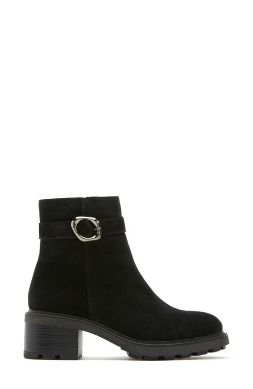 La Canadienne Avon Waterproof Buckle Boot In Black