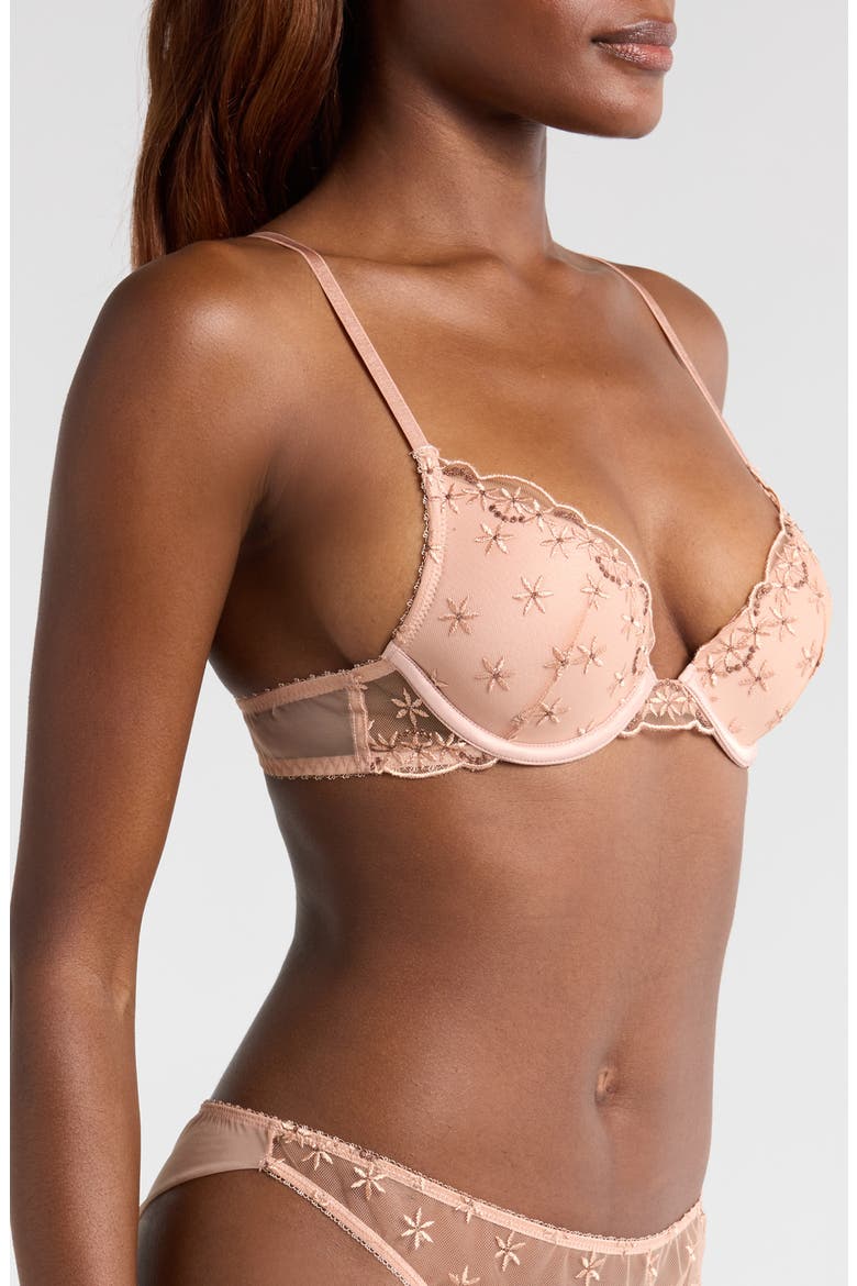 The Plunge Push-Up Bra, Alternate, color, BLUSH