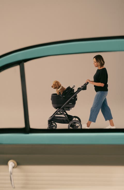 Maeve™ iso5X Pet Car Seat + Roscoe™ Trek Stroller