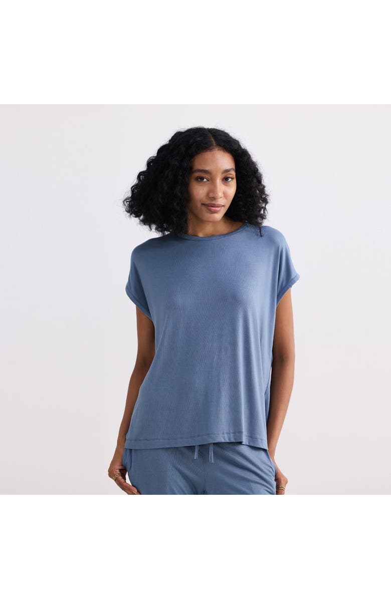 Reistor Relaxed Tee in Blue, Main, color, Blue Solid