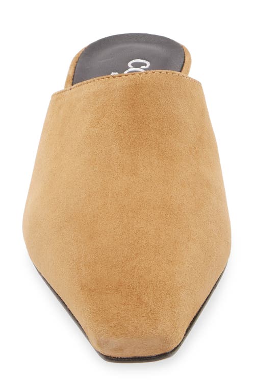 Cordani Ronan Kitten Heel Mule In Brown