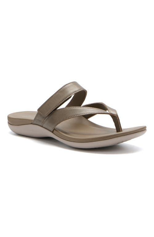Abeo Oasis Thong Sandal In Fossil - Regular