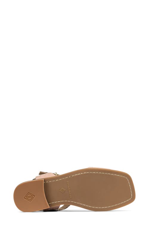 Donald Pliner Dria T-strap Sandal In Rosette