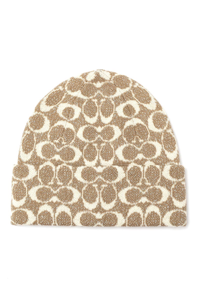 Metallic Signature Knit Beanie, Main, color, GREY BIRCH