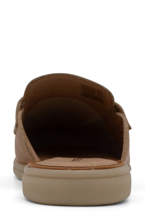 Bottero Botgiorgia Loafer