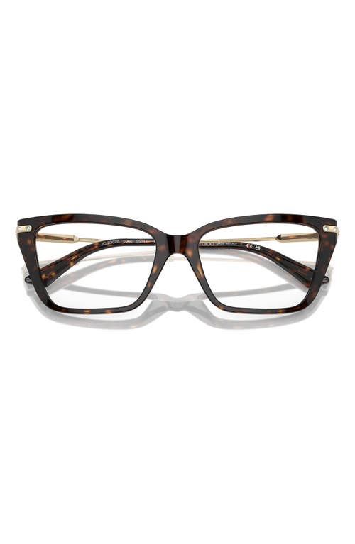 Jimmy Choo 55mm Cat Eye Optical Glasses In Brown