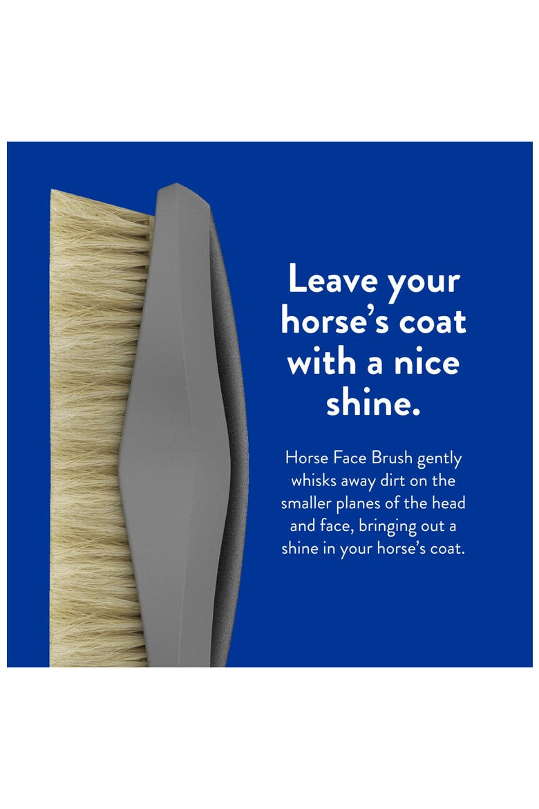Equine Grooming Face Horse Brush, Alternate, color, Black