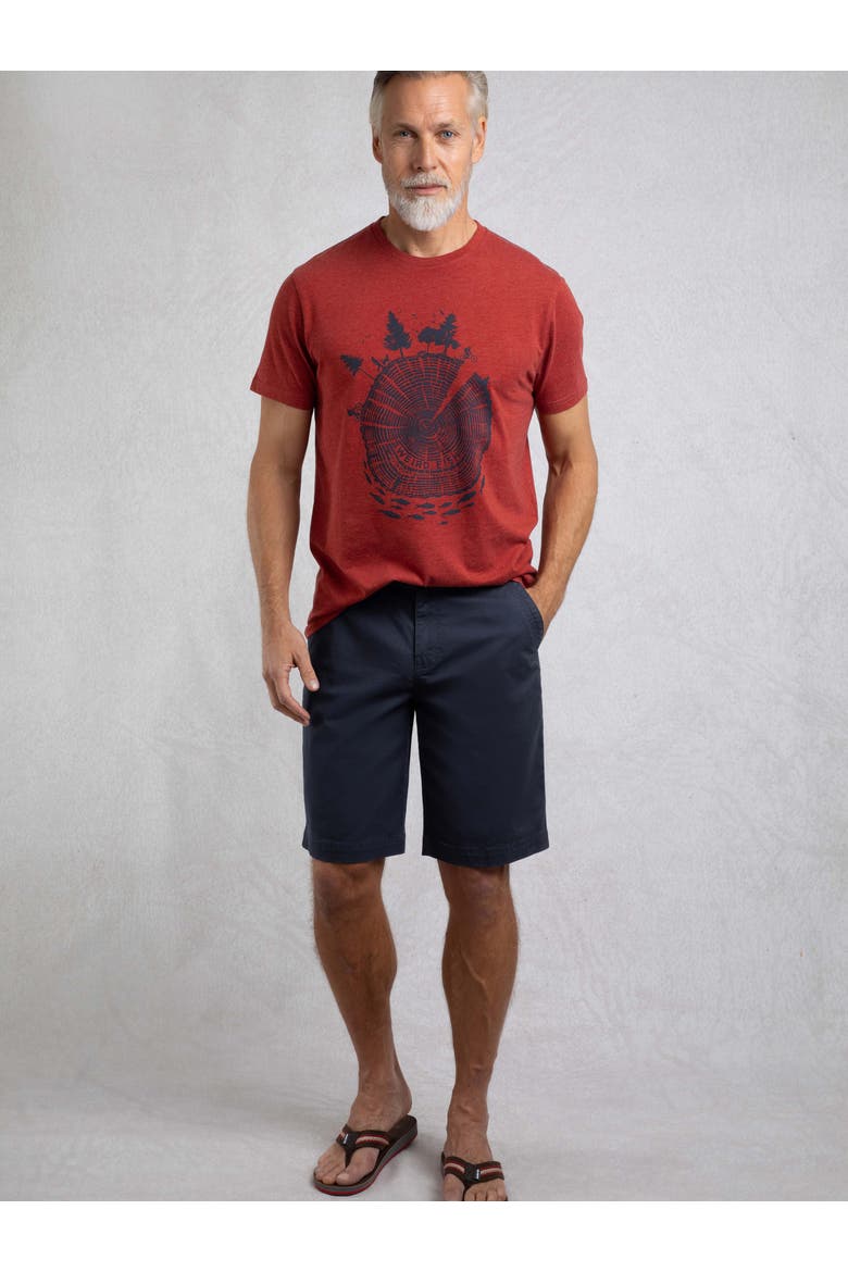 Rayburn Flat Front Shorts, Alternate, color, Navy