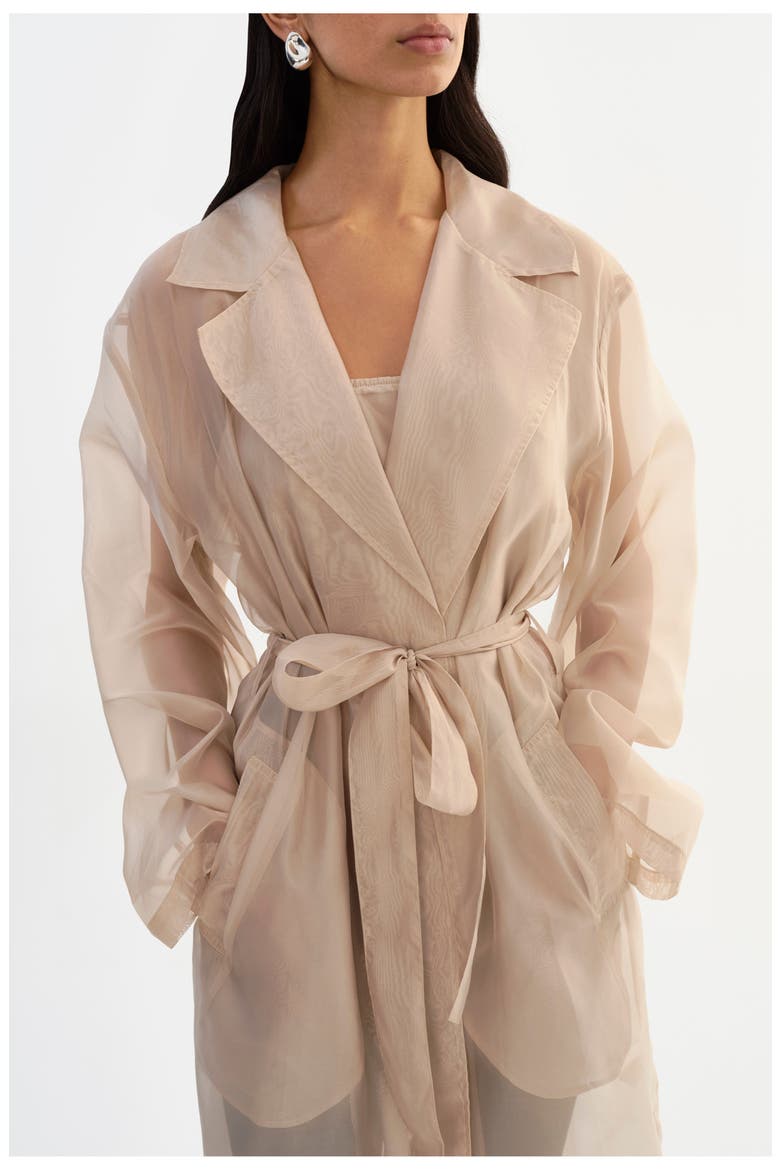 Talise | Long Sheer Coat, Alternate, color, Beige