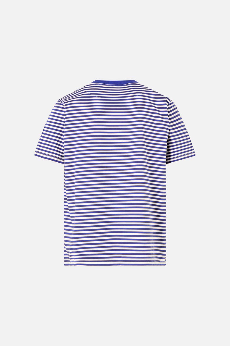 Relaxed Heavyweight Crew Neck Tee, Alternate, color, The Porcelain Parlour