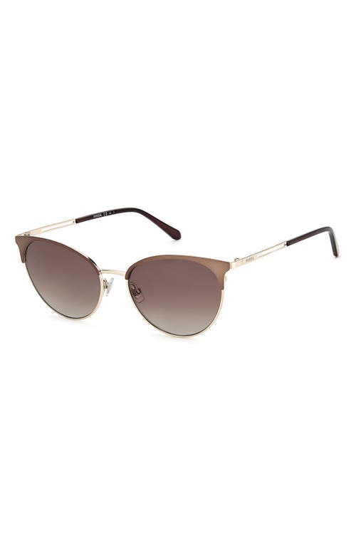 Fossil 55mm Gradient Cat Eye Sunglasses In Brown