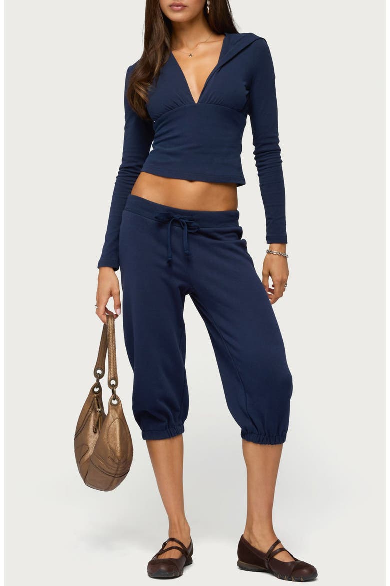 Natashah Hooded Plunge Long Sleeve Crop Top, Alternate, color, NAVY