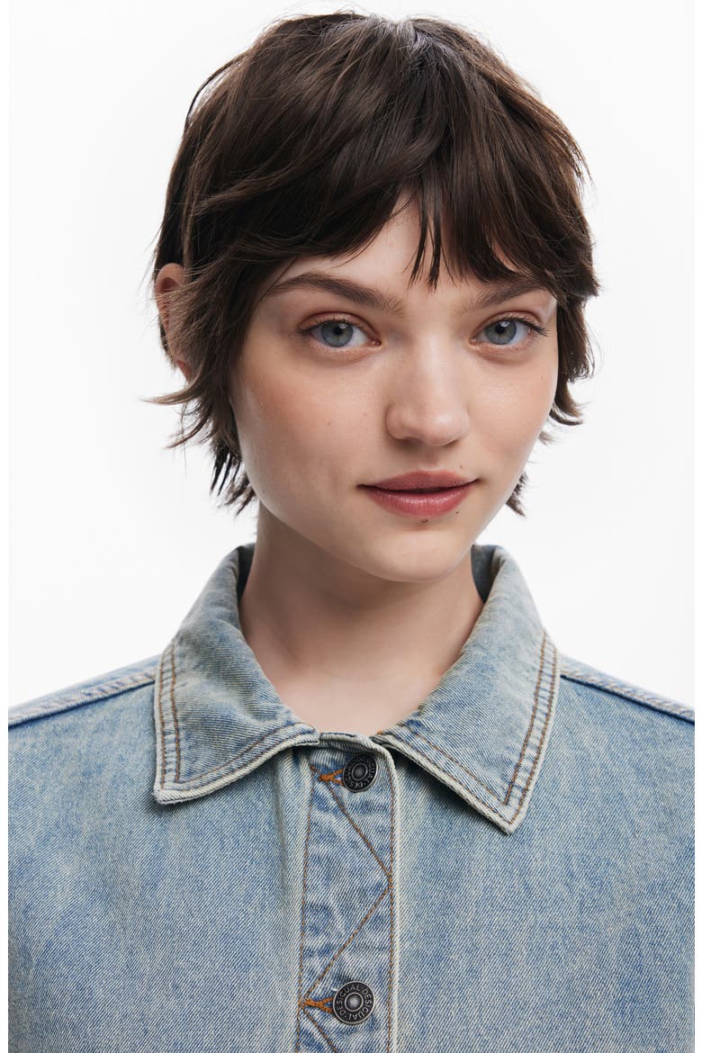 Floral Embroidery Ombré Denim Jacket, Alternate, color, LIGHT BLUE