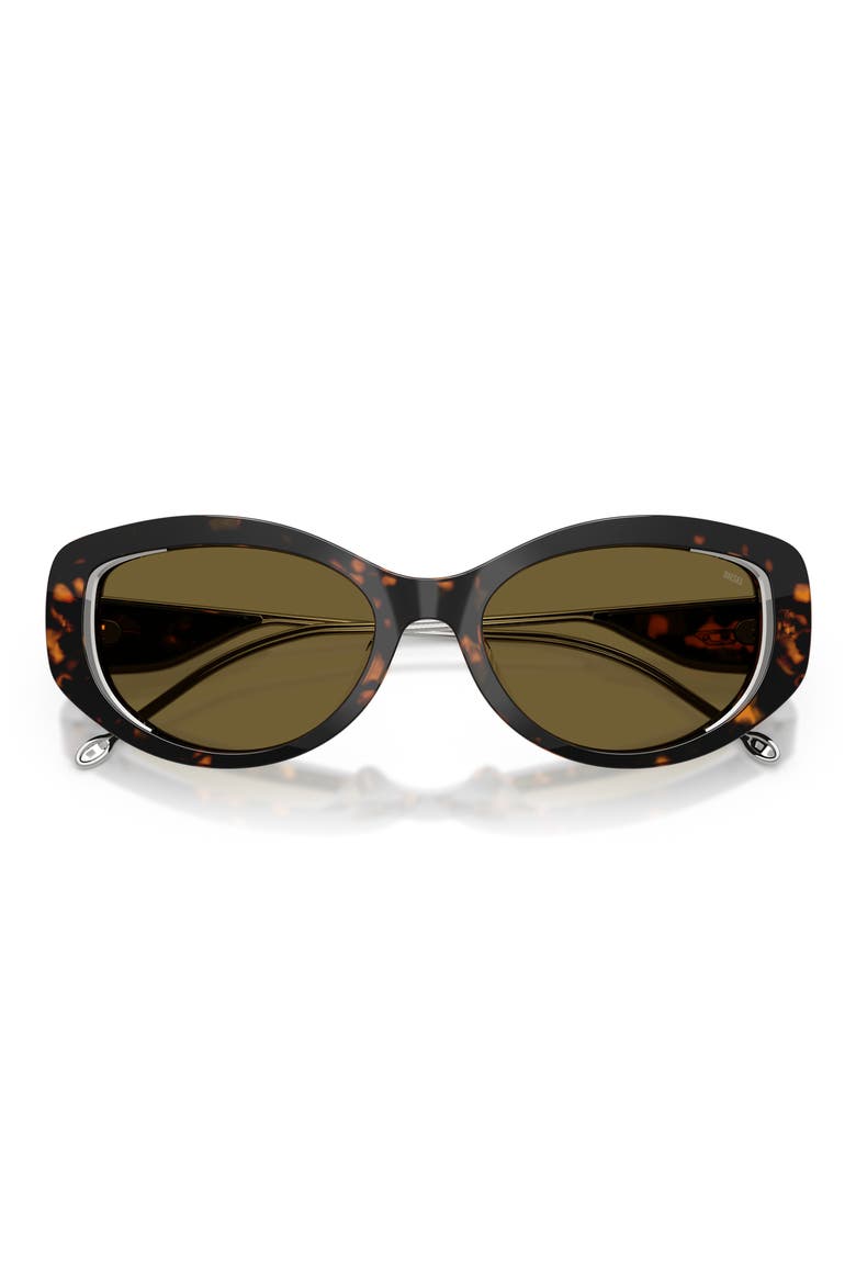 Geck-D 54mm Oval Sunglasses, Alternate, color, SHINY HAVANA/ BROWN