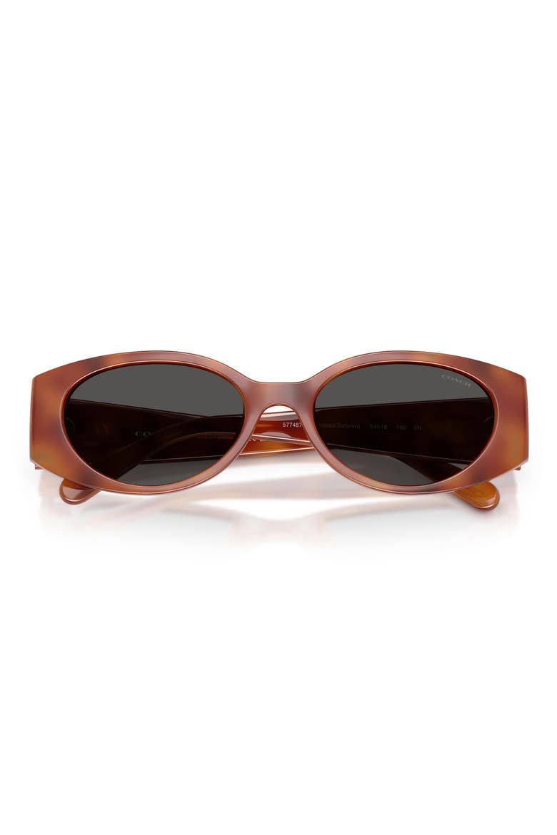 54mm Oval Sunglasses, Alternate, color, CARAMEL TORTOISE / GREY SOLID