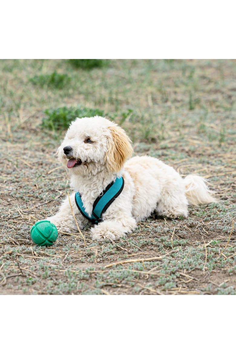 FloTex Ball, Medium, 2.5 Inch, Green, Dog Toy, Alternate, color, Green