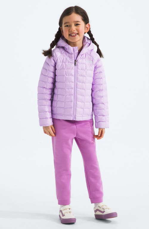 The North Face Kids' Thermoball Eco Hooded Jacket In Purple
