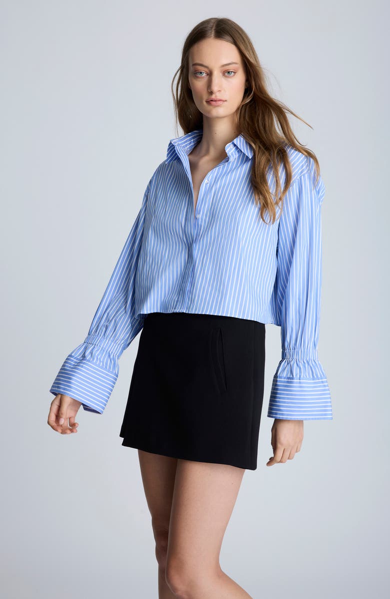Kenneth Cole Stripe Crop Button-Up Shirt, Alternate, color,