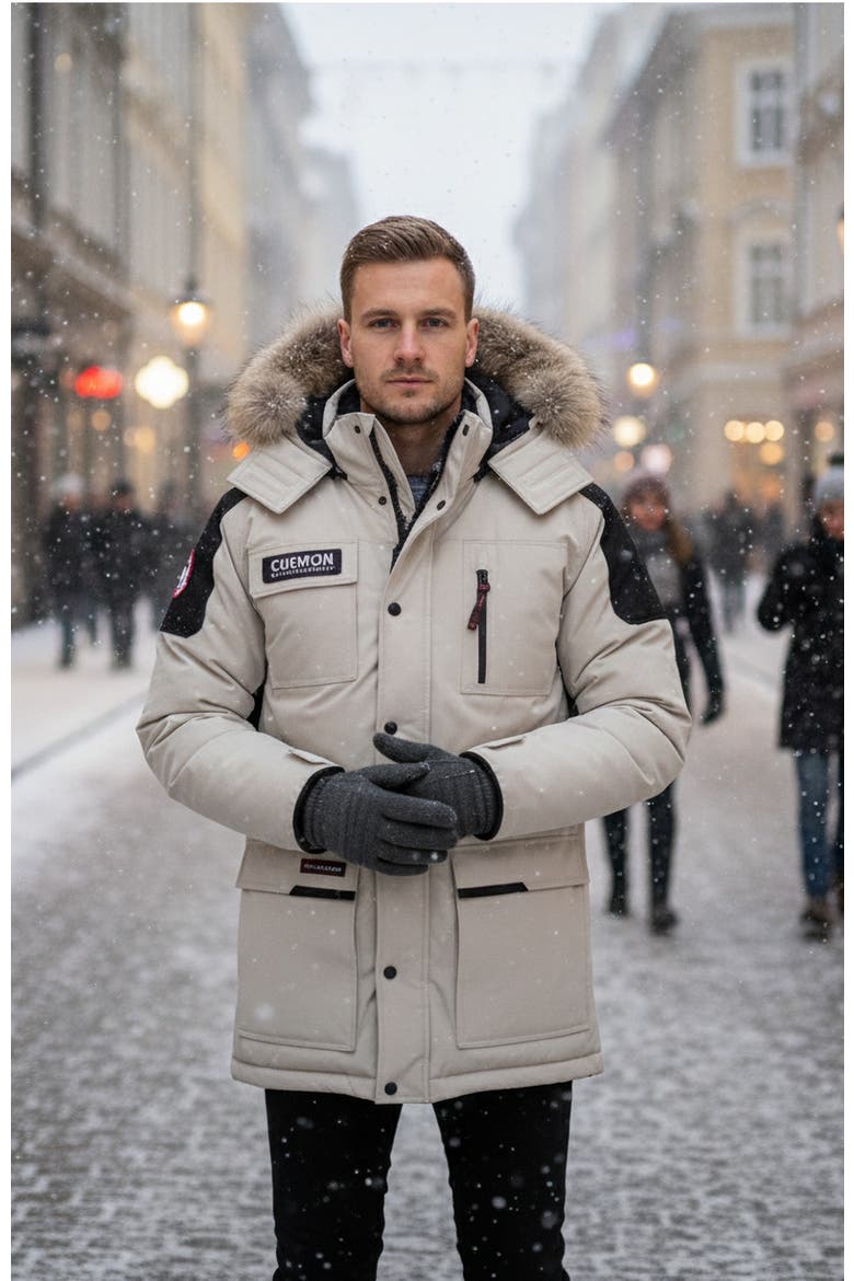 Men's Heavyweight Arctic Parka, Alternate, color, Stone
