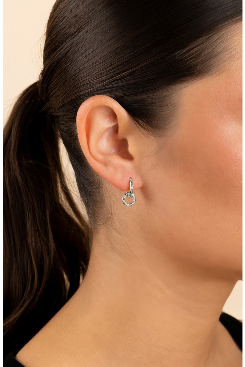 Double Halo Pavé Drop Earrings, Alternate, color, SILVER