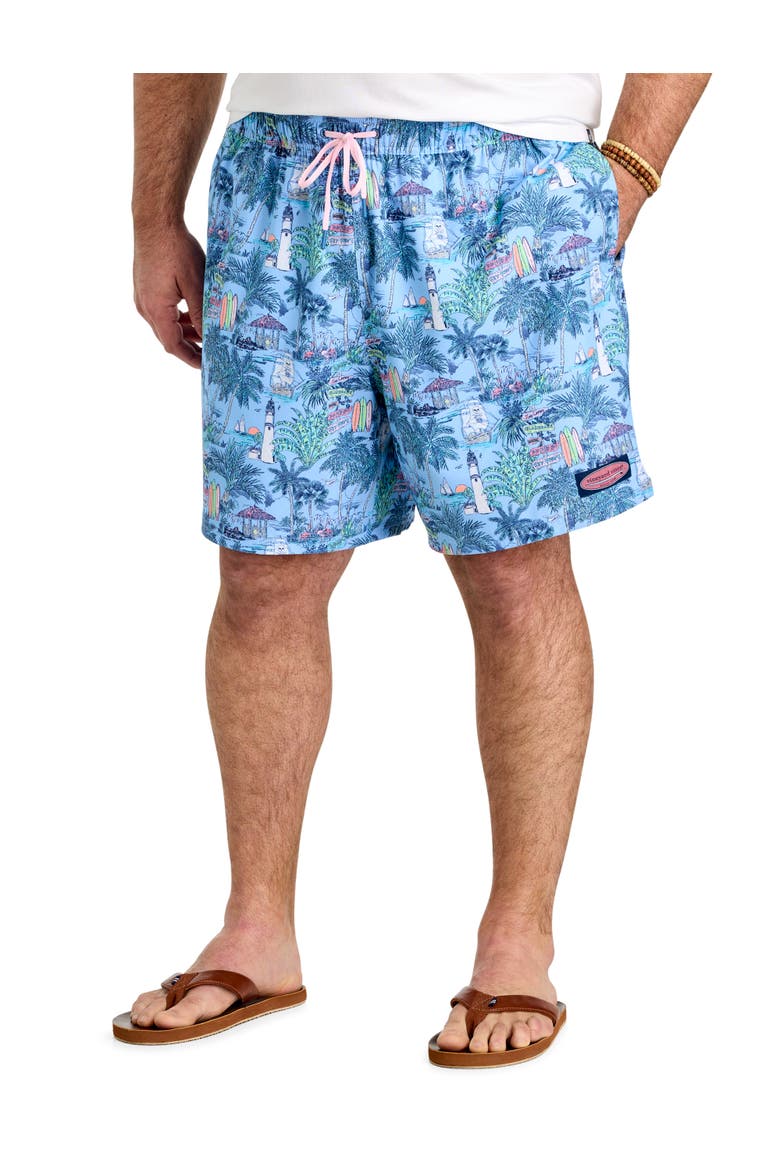 Big & Tall Scenic Chappy Swim Trunks, Main, color, KEYS TOUCAN