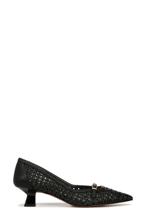 Franco Sarto Janessa Kitten Heel Pump In Black