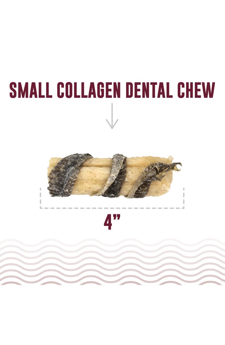 ICELANDIC+ Beef Collagen Dental Chew Stick Wrapped with Fish 4" Dog Treat, Alternate, color,