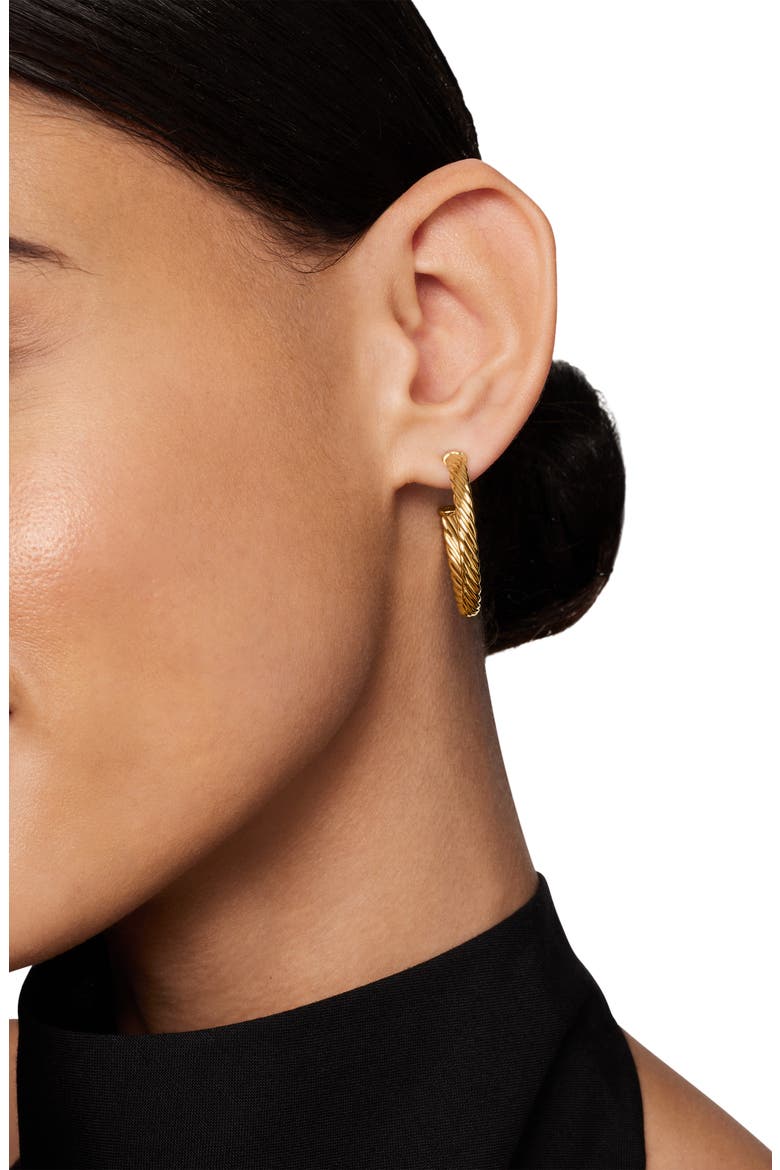 Cable Loop Hoop Earrings, Alternate, color, GOLD