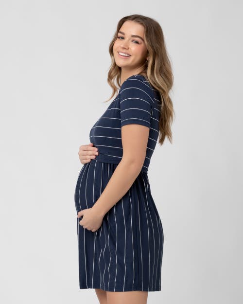 Ripe Maternity Crop Top Nursing Dress In Multi