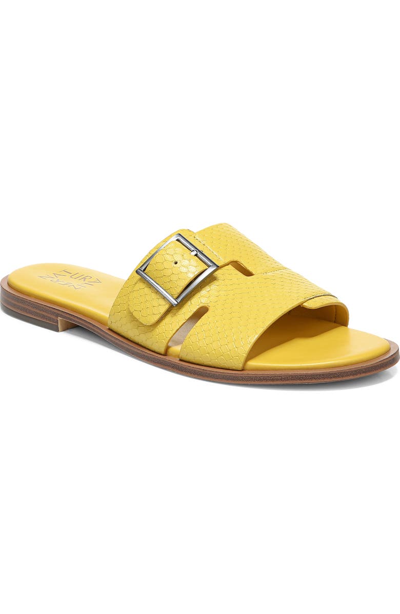 Naturalizer Faryn Slide Sandal, Main, color,