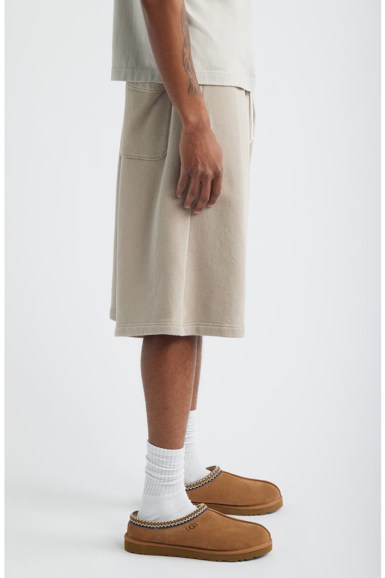 Core Big Sweat Shorts, Alternate, color, TAN