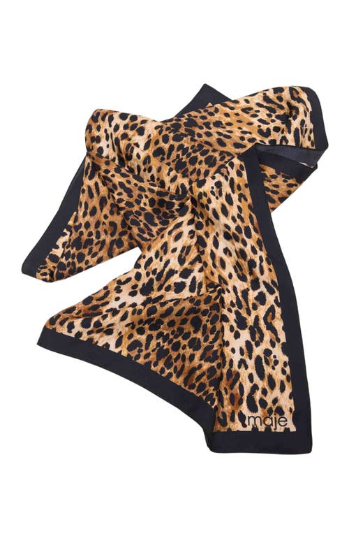 Maje Leopard Print Scarf In Brown