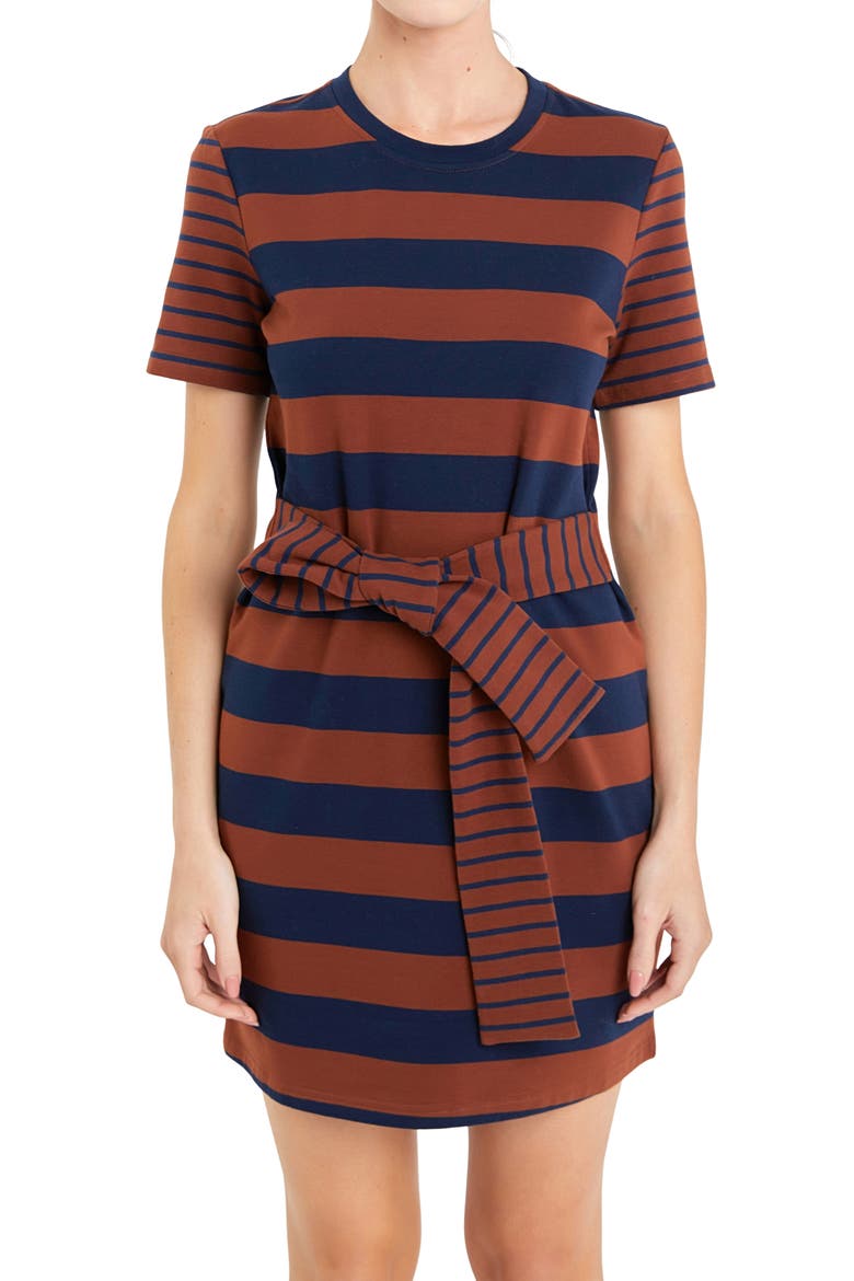 Contrast Stripe Tie Waist Minidress, Alternate, color, BROWN/ NAVY