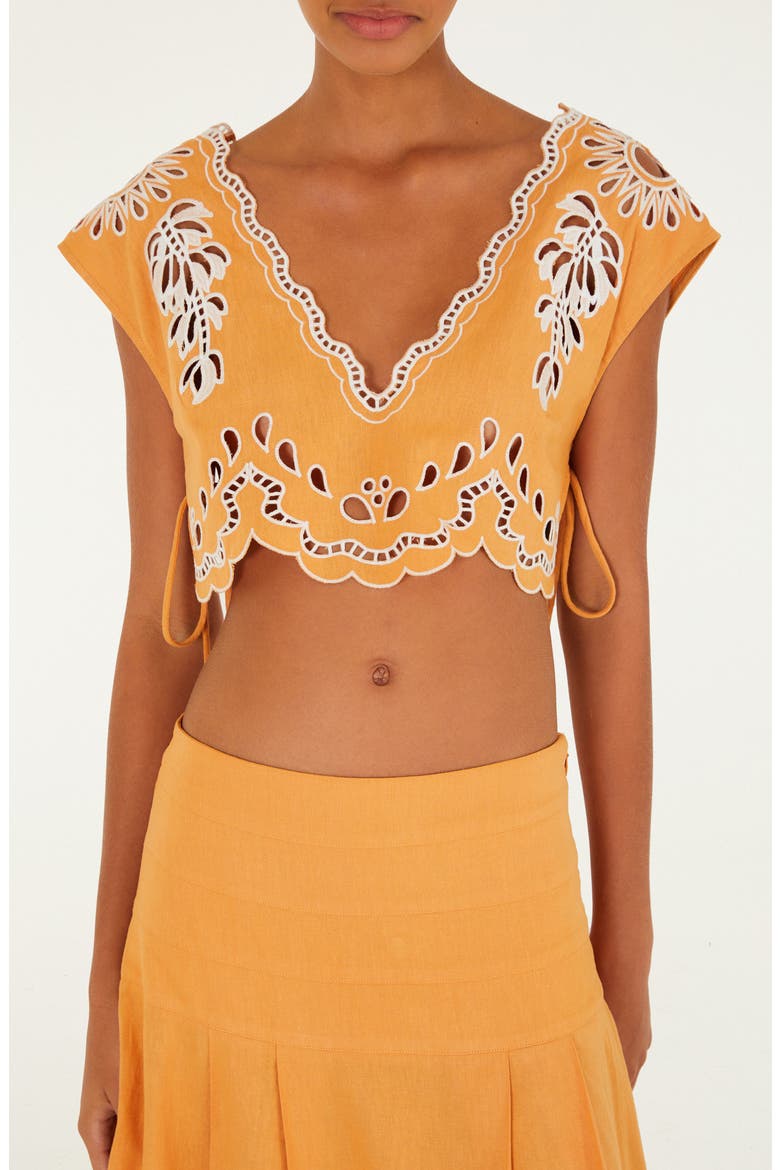 Embroidered Eyelet Crop Top, Main, color, BANANA TREE CAMEL
