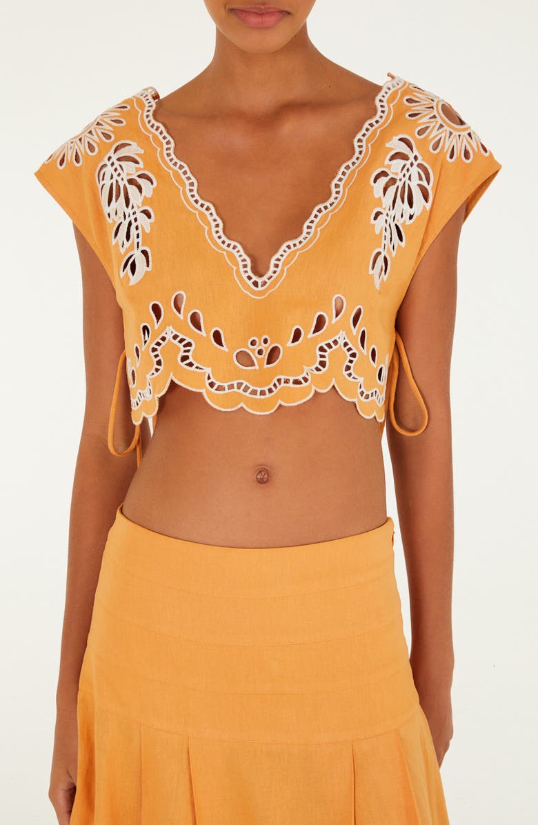 FARM Rio Embroidered Eyelet Crop Top, Main, color, Banana Tree Camel