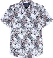 Robert Graham Pickwick Short Sleeve Button-Up Shirt
