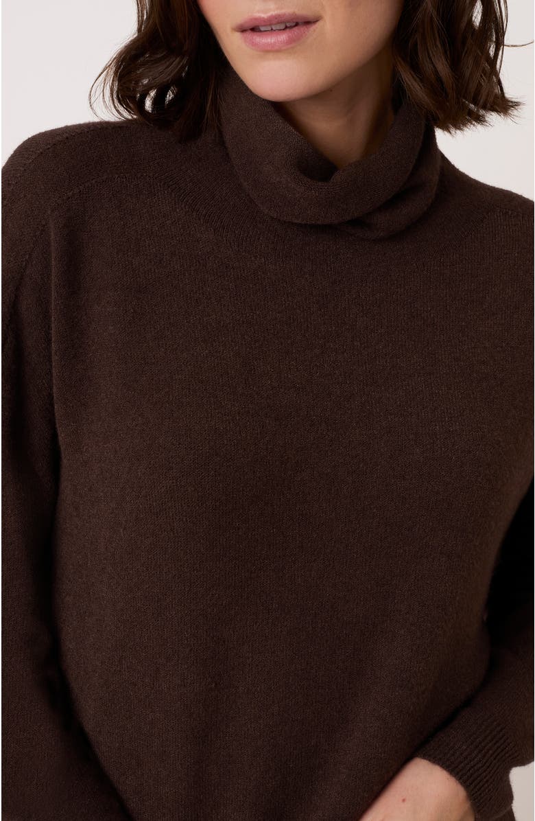 Celtic & Co. Slouchy Roll Neck Jumper, Alternate, color, Chocolate