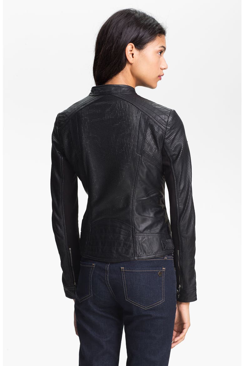 Perforated Leather Moto Jacket, Alternate, color, BLACK