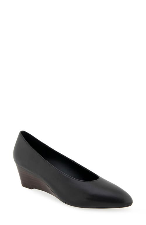 AEROSOLES AEROSOLES CARUZO WEDGE PUMP
