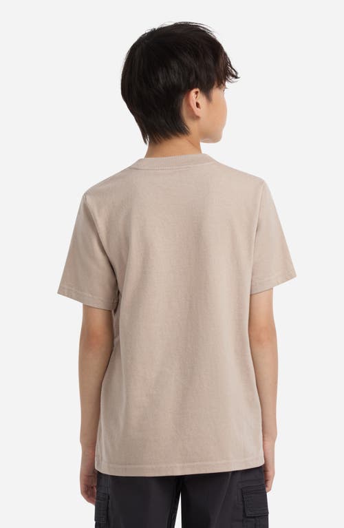 Abercrombie Kids Kids' Nomad Graphic T-shirt In Gold
