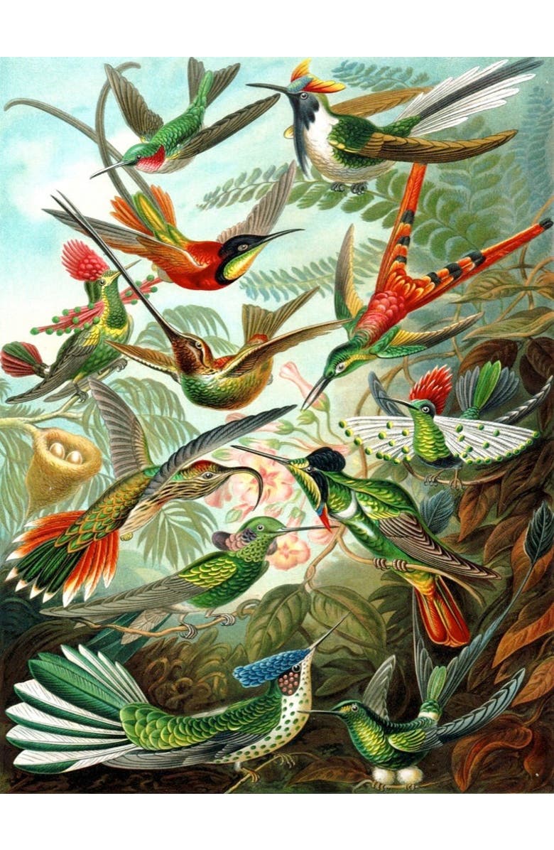 NEW YORK PUZZLE COMPANY Hummingbirds 1000 Piece Puzzle, Alternate, color, NO COLOR